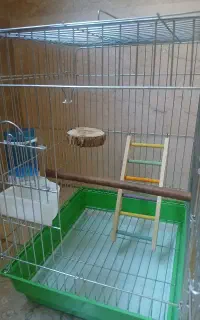 قفس پرنده