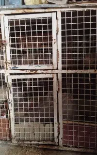قفس دو طبقه و محکم
