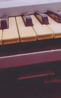 dj اجرای مراسم ارکست و دی جی