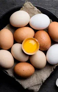 تخم مرغ