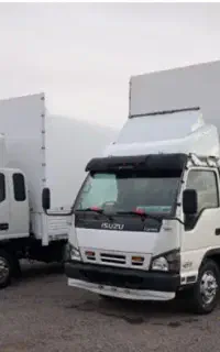 باربری تندیس حمل جابجایی اساس منزل و مبلمان