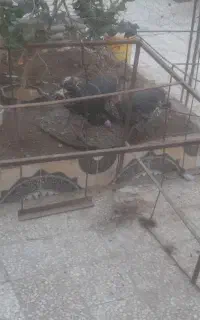 قفس آهنی