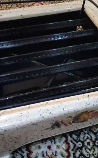 کباب پز