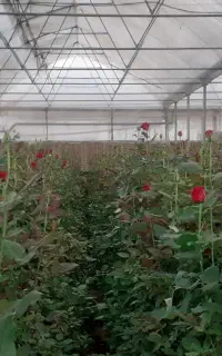 مشاوره