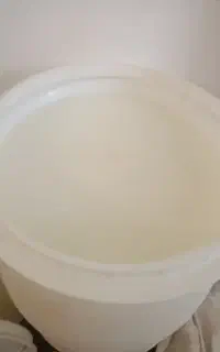 دوغ محلی غلیظ