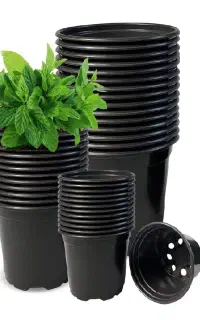 فروش گلدان پلاستیکی نو و دسته دوم مخصوص کاشت و نشا