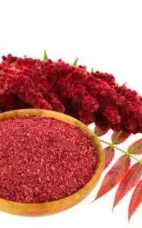 هدیه