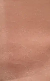 موکت