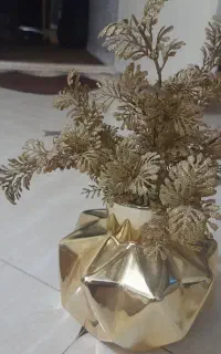 گلدون شیک نونو