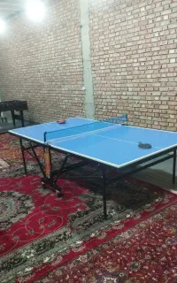 ورزشی