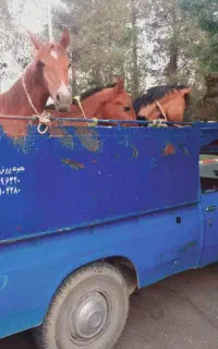 خرید فروش