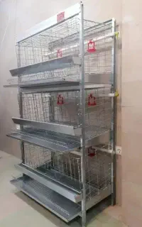 قفس مرغ