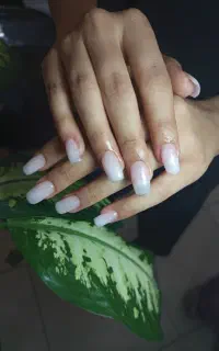 کاشت و ژلیش