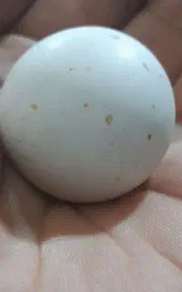 سنگ الماس آسیاب