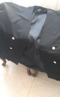 بارانی