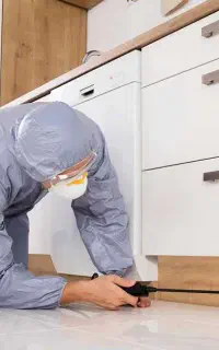 سمپاشی و عقیم سازی حشرات سوسک ساس و ....