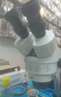 حل مشکل شبکه و آنتن و اینترنت گوشی