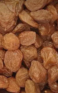 الو خوانساری