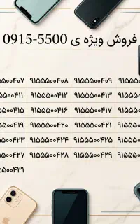 0915-5500-410