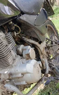 رادیسون ۲۵۰ مزایده