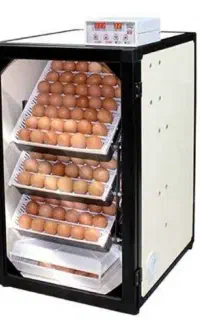 دستگاه جوجه کشی 168 تایی اسکندری