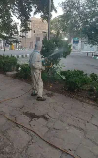 سمپاشی و هرس درختان