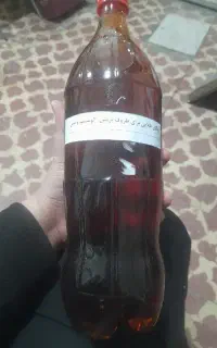 ریکای طلایی