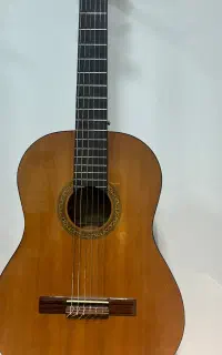 گیتار کار کرده