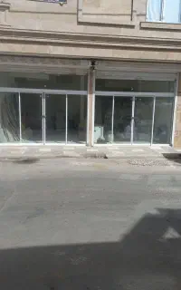 وطن دوست