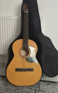 گیتار پارسی