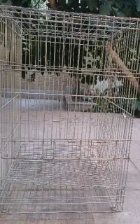 قفس پرنده و سگ