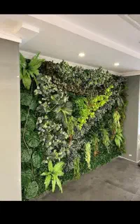 گرین وال نیچر