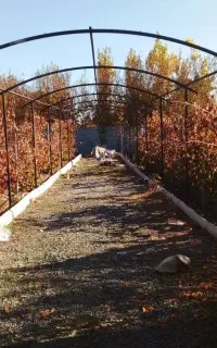 جوشکاری سیار،والپست،سقف شیروانی ،نرده پنجره