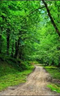 دورهمی یه روزه بدون هزینه ی تور