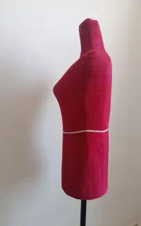 مانکن سوزن خور
