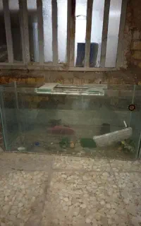 آکواریوم بزرگ