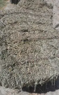 یونجه فروشی