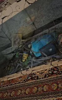 اکواریوم