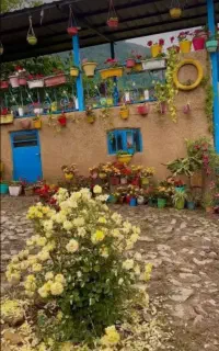آقا هستم امورنظافت منزل مرتب کردن باغچه وحرس کردن