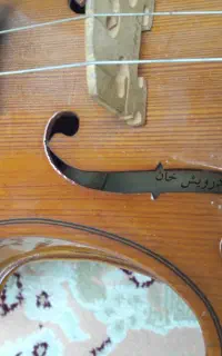 ویالن