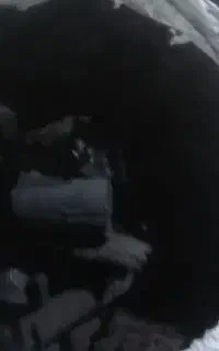 ذغال کبابی  بدون بو  وجرقه  ودود