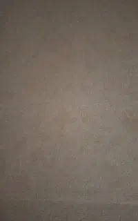 موکت