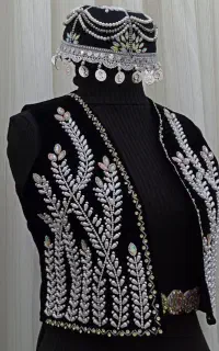 جلیقه مجلسی