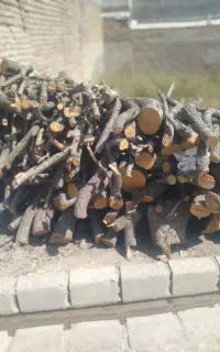 خریدارچوب تر.خشک