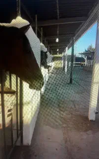 پانسیون اسب VIP اسلام آبادغرب