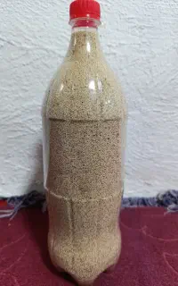 بذر گوجه ای درجه یک