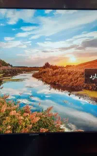 تلویزیون هوشمند ایکس ویژن مدل 43XY795