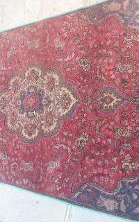 فرش دستباف تمیز و سالم مناسب آشپزخانه و باغ