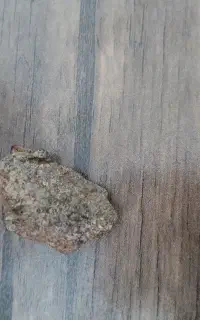 شهاب سنگ