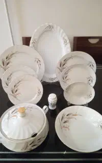 سرویس چینی کامل
